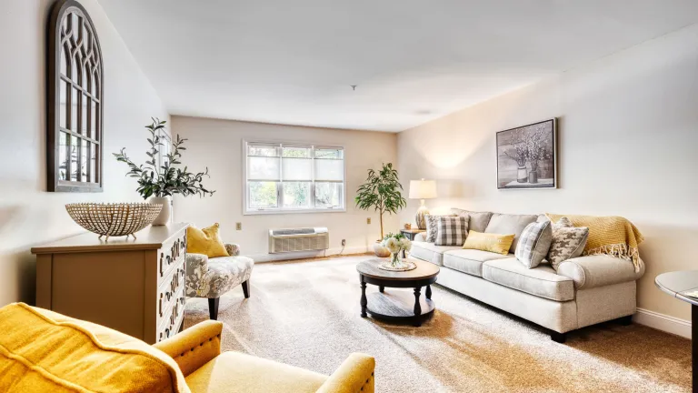 Interior image of a resident living room. Bright natural light coming in from a large window at the end of the wall. 