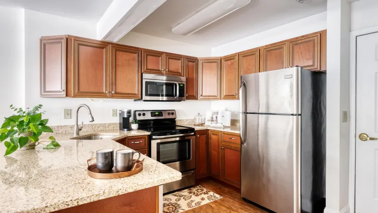 A bright kitchen with dark wood cabinets, light granite counters, new stainless steel appliances, and a potted plant on the counter