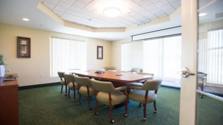A conference room with lots of natural light, a large table with rolling armchairs, and green carpeting