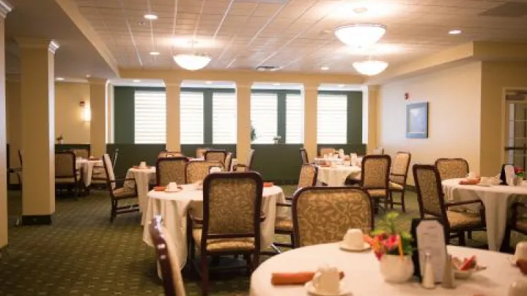 A dining room with green carpeting and green and white accents