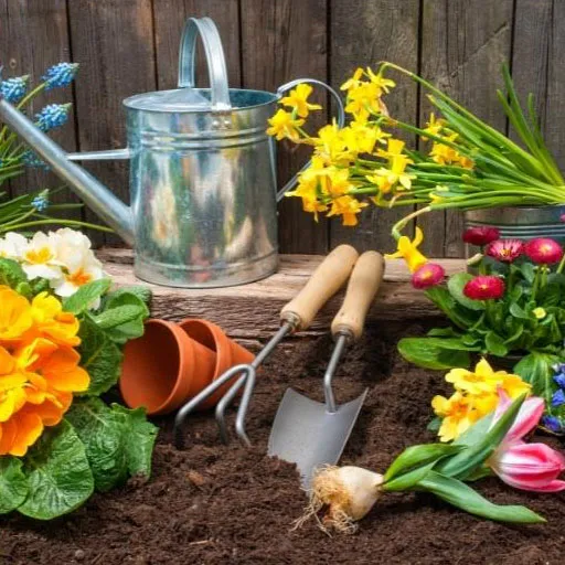 Gardening supplies next to flowers