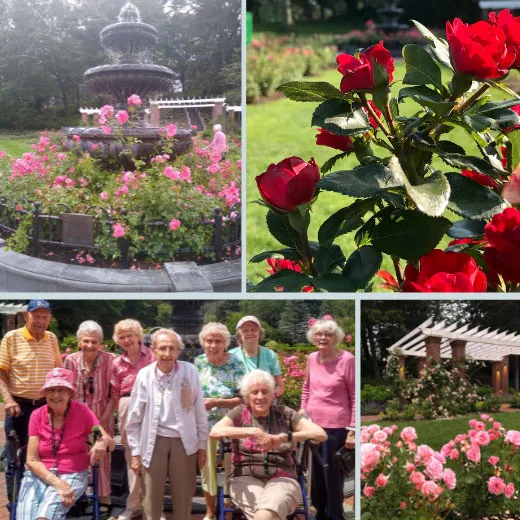 Kingsway residents visit Schenectady Rose Garden